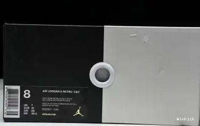 8 Jordan 832821-030 Retro Champagne 0503